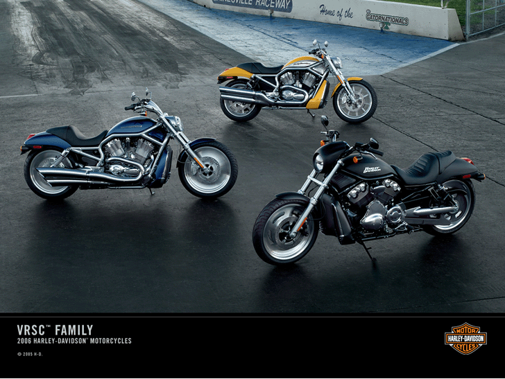 Petites annonces Harley Davidson